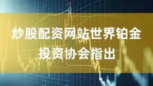炒股配资网站世界铂金投资协会指出