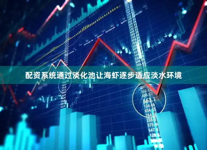 配资系统通过淡化池让海虾逐步适应淡水环境