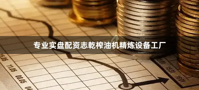 专业实盘配资志乾榨油机精炼设备工厂