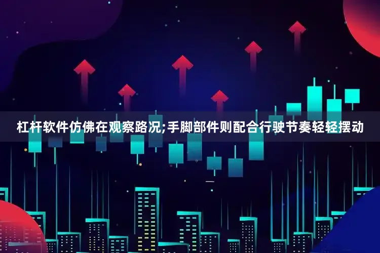 杠杆软件仿佛在观察路况;手脚部件则配合行驶节奏轻轻摆动