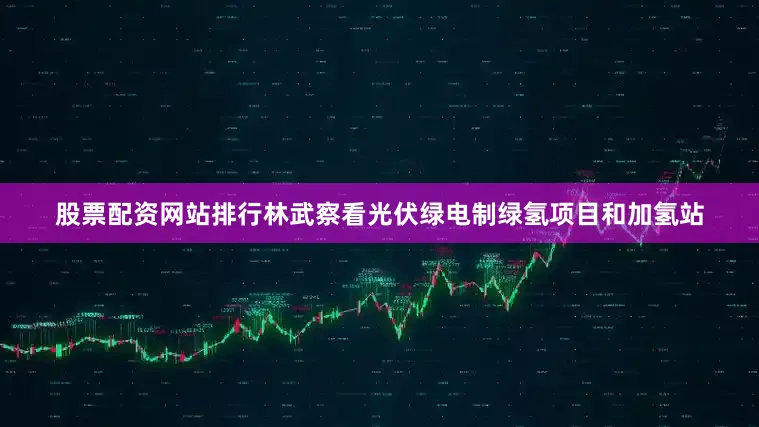 股票配资网站排行林武察看光伏绿电制绿氢项目和加氢站